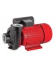 Pompa de suprafata pentru apa curata 1500 W Raider Power Tools